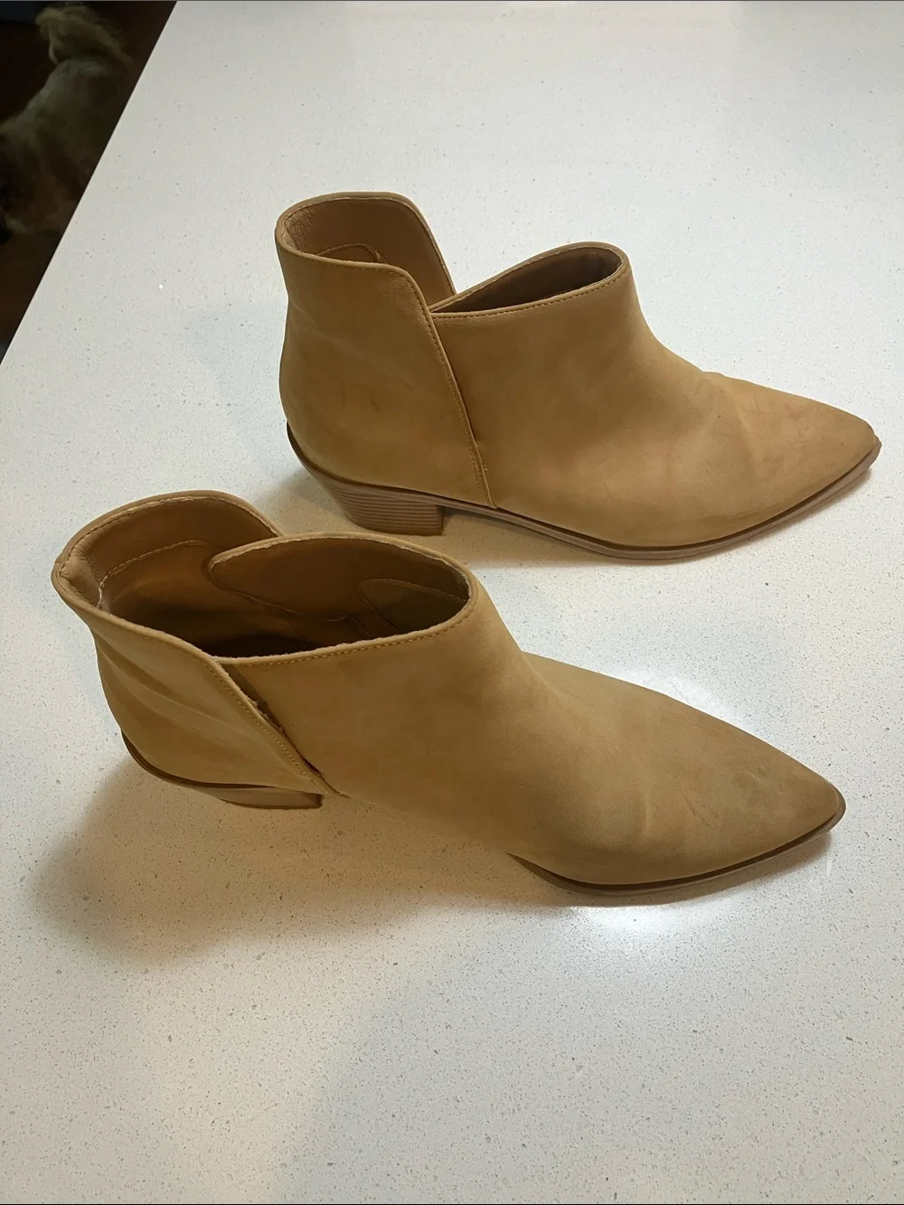 Suede Pointed Toe Ankle Booties in Light Tan